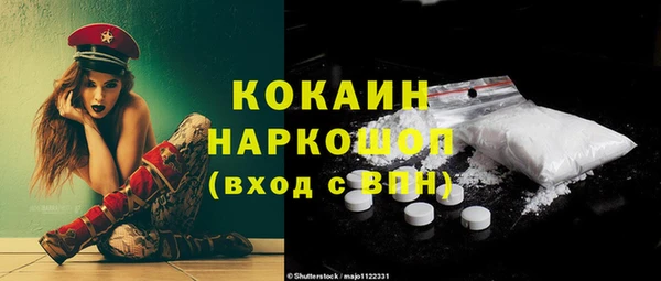 ПСИЛОЦИБИНОВЫЕ ГРИБЫ Михайлов