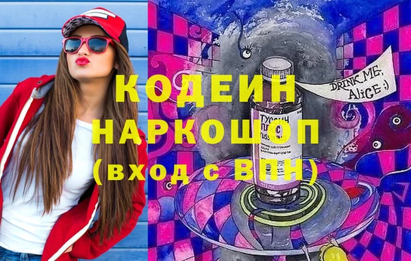 ПСИЛОЦИБИНОВЫЕ ГРИБЫ Михайлов