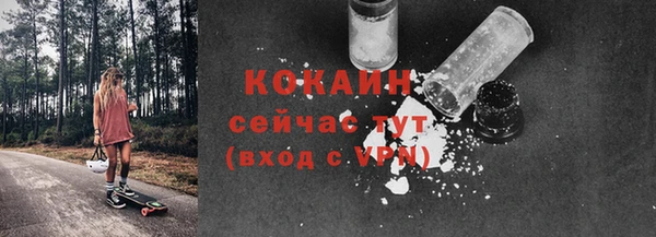 ПСИЛОЦИБИНОВЫЕ ГРИБЫ Михайлов