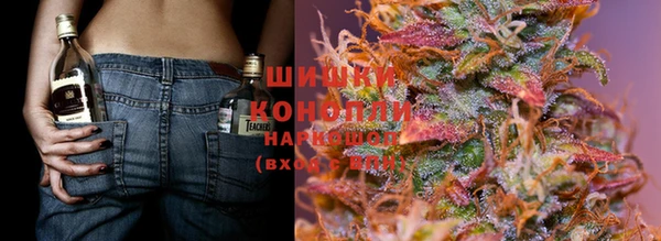 ПСИЛОЦИБИНОВЫЕ ГРИБЫ Михайлов