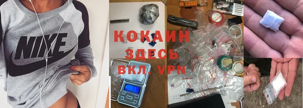 сатива Киров